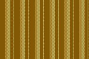 Lines vector texture of pattern seamless textile with a background fabric stripe vertical.