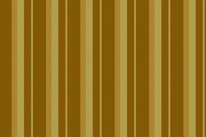 Lines vector texture of pattern seamless textile with a background fabric stripe vertical.