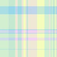 Background textile tartan of check texture seamless with a plaid pattern fabric vector. vector