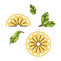 Lemon slices and cut lemon with mint leaves. Flat modern vector illustration.