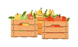 Wooden boxes with apples, oranges and bananas. Zero-waste shopping. vector