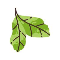 Two green leaves of a plant. Flat modern vector illustration.