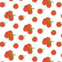 Pattern background with red tomatoes. vector