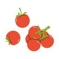 Set of vegetables red tomatoes. Flat modern vector illustration.