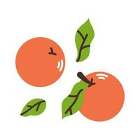 Set collection of oranges with leaves. Flat modern vector illustration.