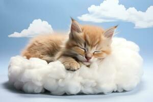 un dormido gatito rizado en un nube almohada aislado en un blanco antecedentes foto