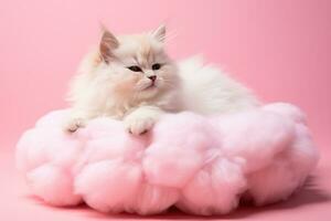 un juguetón gatito siesta en un mullido nube cama aislado en un rosado degradado antecedentes foto
