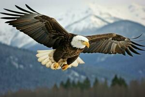 Powerful Majestic eagle. Generate Ai photo