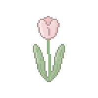 Illustration vector graphic of cute tulip in pixel art style
