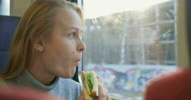 Woman having snack while traveling by train video
