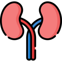 kidneys icon design png