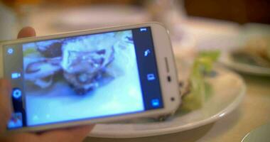 nemen schoten van oesters met slim telefoon video