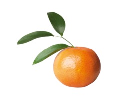 orange eller mandarin png transparent bakgrund