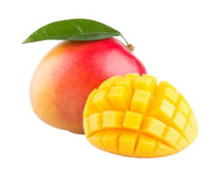 mango png fondo transparente