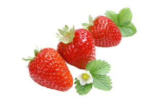 strawberry png transparent background