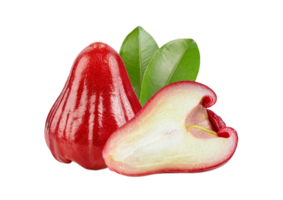 rosa maçã png transparente fundo