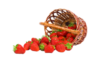 fragola png trasparente sfondo