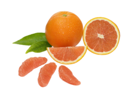 oranje of mandarijn PNG transparant achtergrond