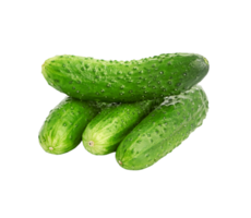 Alto definição pepino png cenário