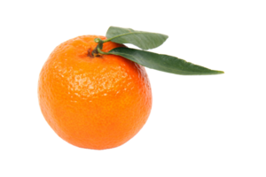 orange eller mandarin png transparent bakgrund