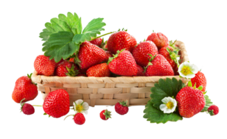 strawberry png transparent background