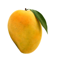 mangue png fond transparent