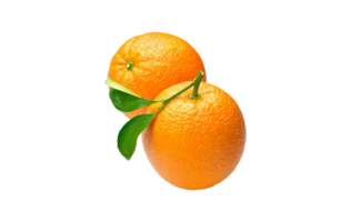 Orange ou mandarine png transparent Contexte