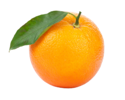 orange or Tangerine png transparent background
