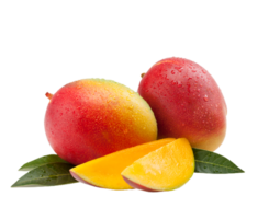 mango png fondo transparente