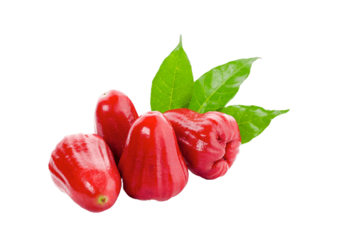 rosa maçã png transparente fundo