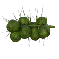 green coconuts isolated png