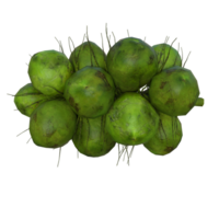 vert noix de coco isolé png