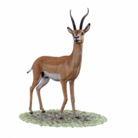 Gazelle isoliert 3d png