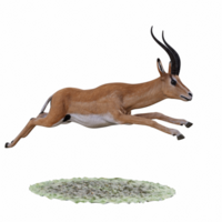 gazela animal isolado png