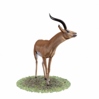 gazela animal isolado png