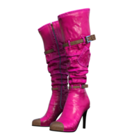 weiblich Stiefel isoliert 3d png