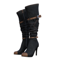 weiblich Stiefel isoliert 3d png