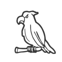 Doodle Parrot in vector. Isolated vector sketch