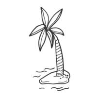 Palm tree vector illustration. Doodle style. Design, print, decor, textile, paper