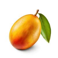 Mango on white background. photo