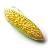 Corn cob on white background. photo