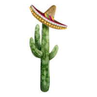 Cactus Saguaro wearing Mexican sombrero hat watercolor illustration png