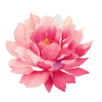 flor pétalas aquarela, ai gerado png