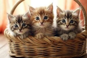 Three kittens in a basket. Generation AI technology. photo