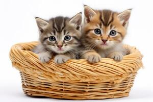 Two kittens in a basket. Generative AI technology. photo