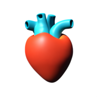 human real heart 3d rendering icon illustration png