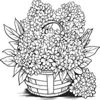 coloring page depicting a Carnation basket of flowers vector