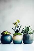 ceramic containers with succulents on the table, with . photo