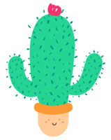 Cute cactus plant cartoon on transparent background. png