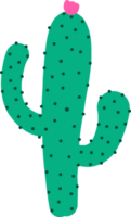 Cute cactus plant cartoon on transparent background. png